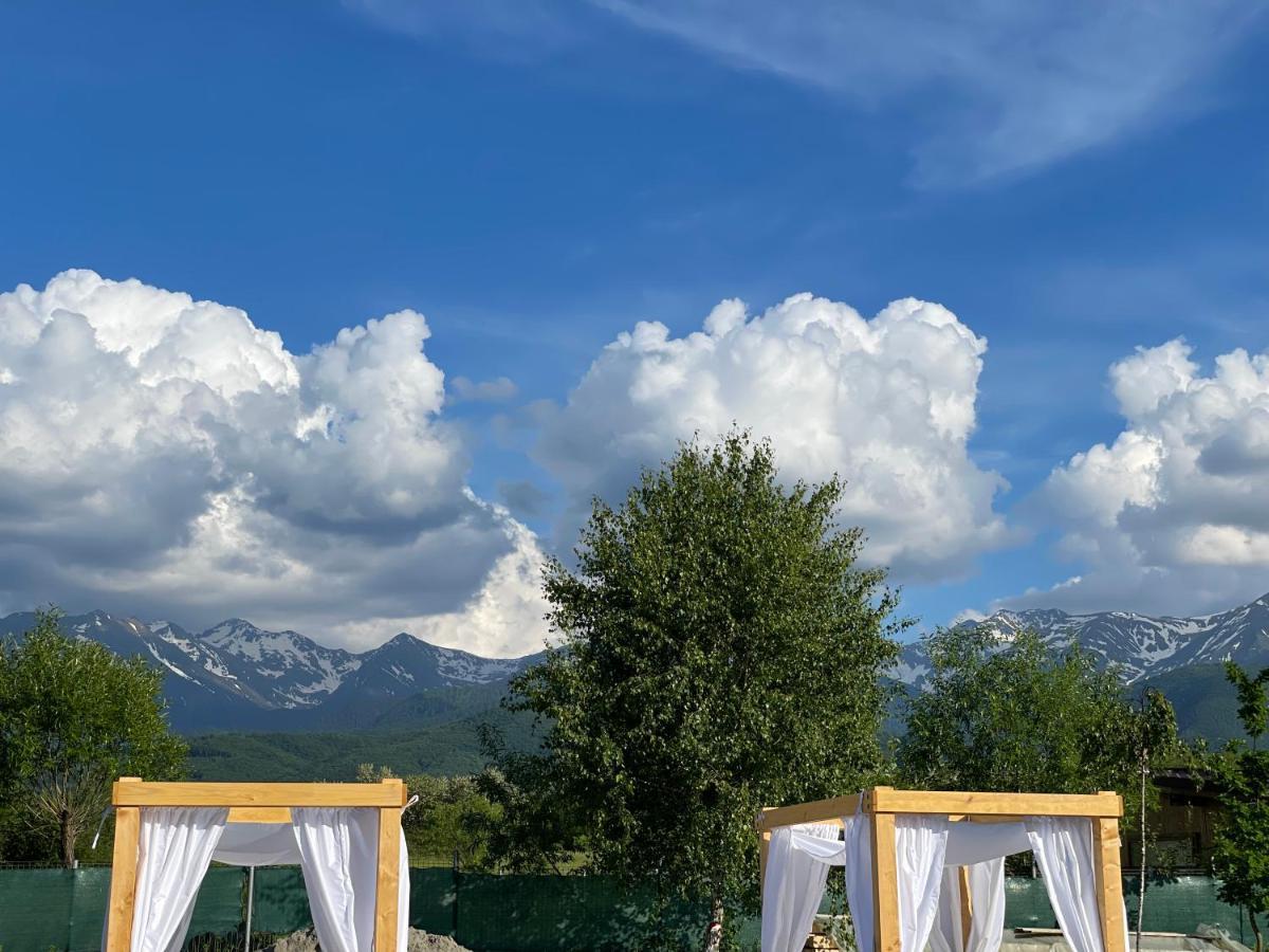 Epic House Valea Avrigului Villa Buitenkant foto
