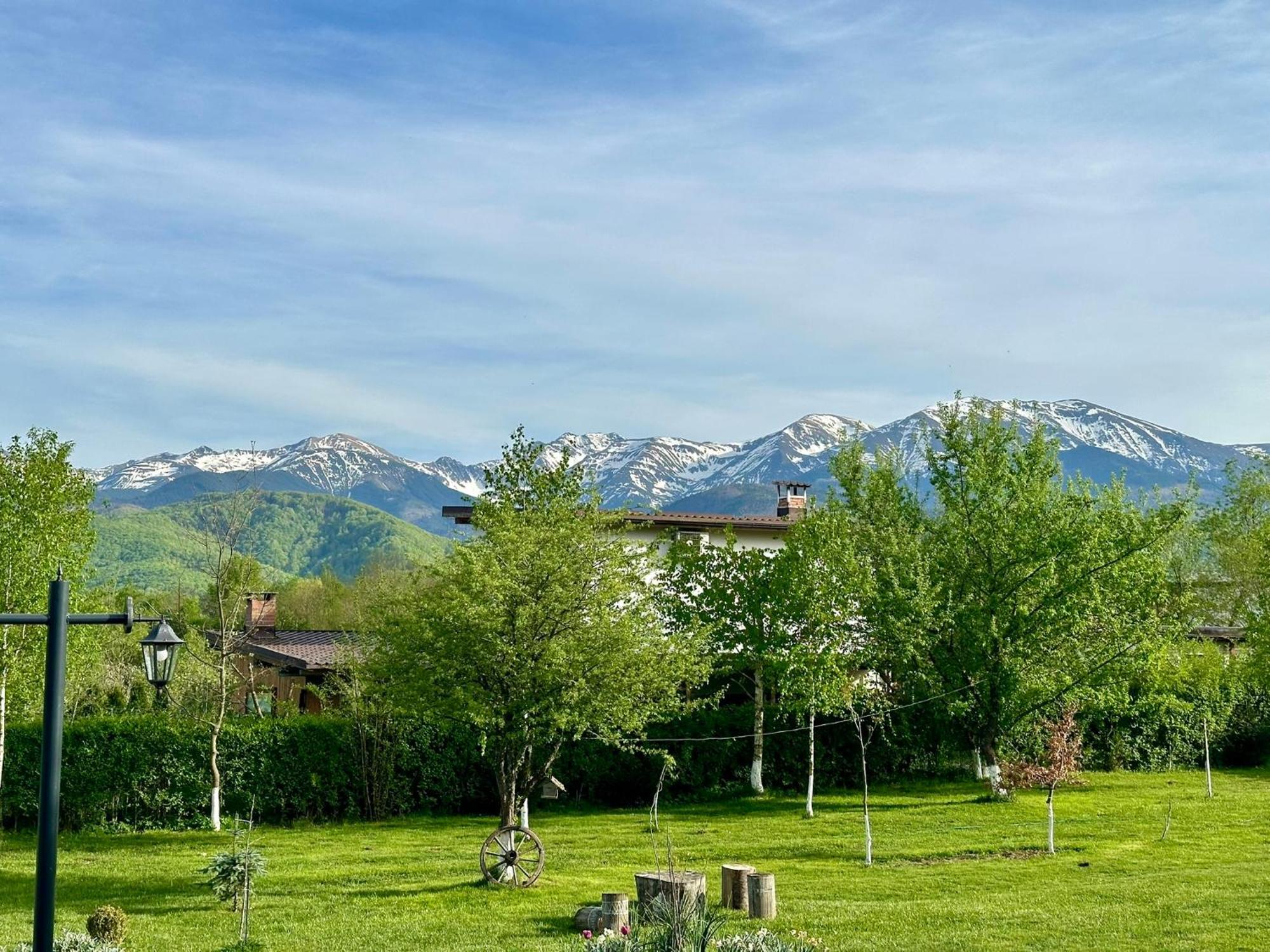 Epic House Valea Avrigului Villa Buitenkant foto