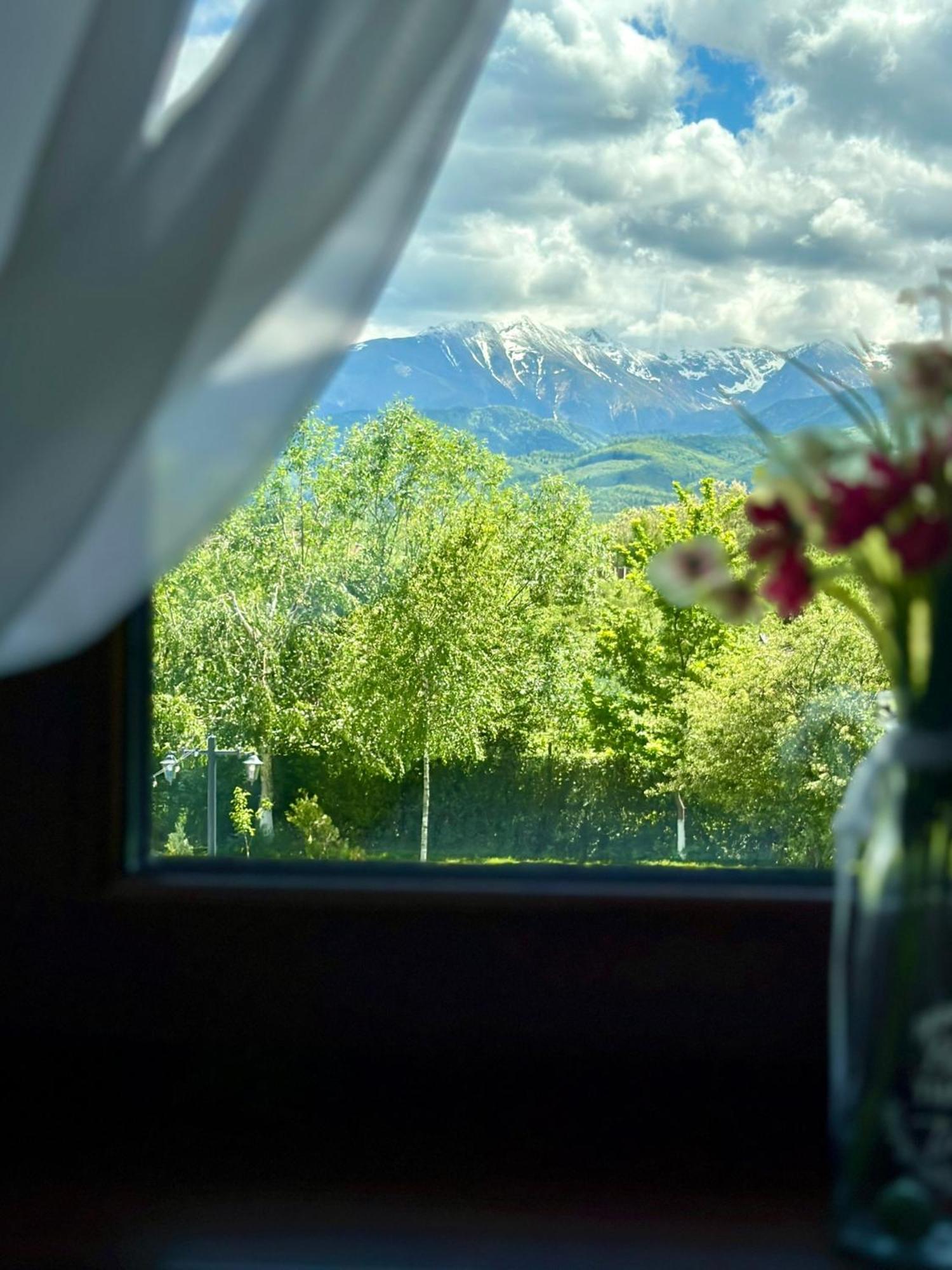 Epic House Valea Avrigului Villa Buitenkant foto
